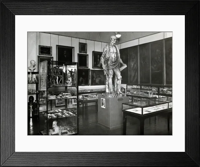 Framed Print : Wellcome Historical Medical Museum, Wigmore Street, London: anatomy room on the first floor. Creator: Unknown Framed Print : Wellcome Historical Medical Museum, Wigmore Street, London: anatomy room on the first floor. Creator: Unknown