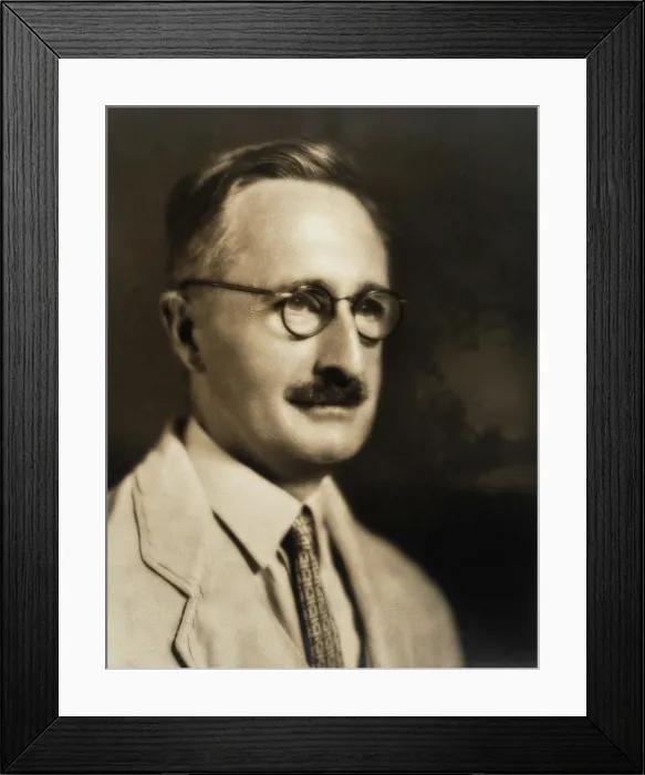 Framed Print : Nicolaas Hendrik Swellengrebel. Creator: Blackstone Studios Framed Print : Nicolaas Hendrik Swellengrebel. Creator: Blackstone Studios