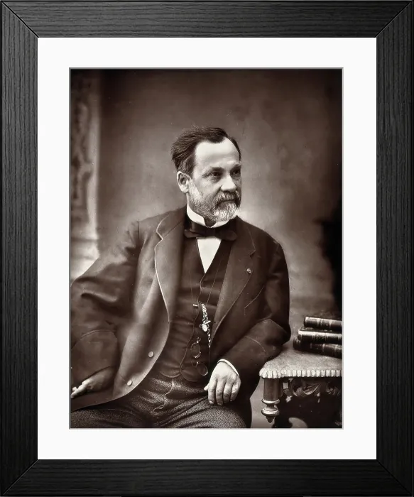 Framed Print : Louis Pasteur. Creator: Eugene Pirou Framed Print : Louis Pasteur. Creator: Eugene Pirou