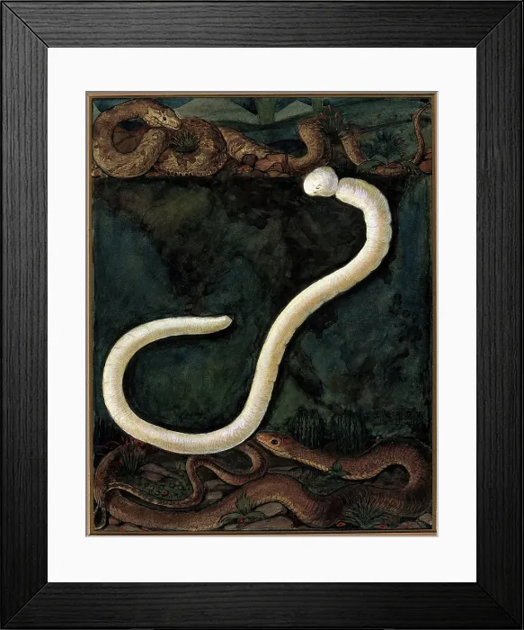 Framed Print : Parasites: a parasitical worm, shown much enlarged, with its hosts, c1930. Creator: J Svoboda Framed Print : Parasites: a parasitical worm, shown much enlarged, with its hosts, c1930. Creator: J Svoboda