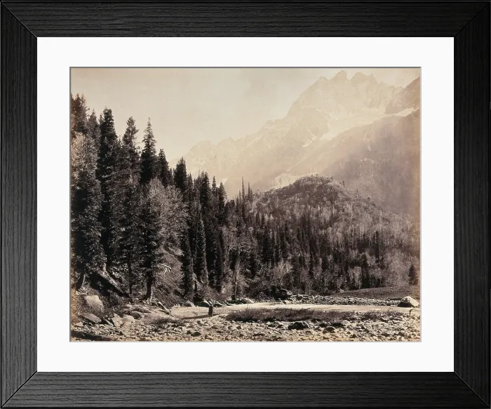 Framed Print : Kashmir: a mountain valley and forest, between 1800 and 1899. Creator: Samuel Bourne Framed Print : Kashmir: a mountain valley and forest, between 1800 and 1899. Creator: Samuel Bourne
