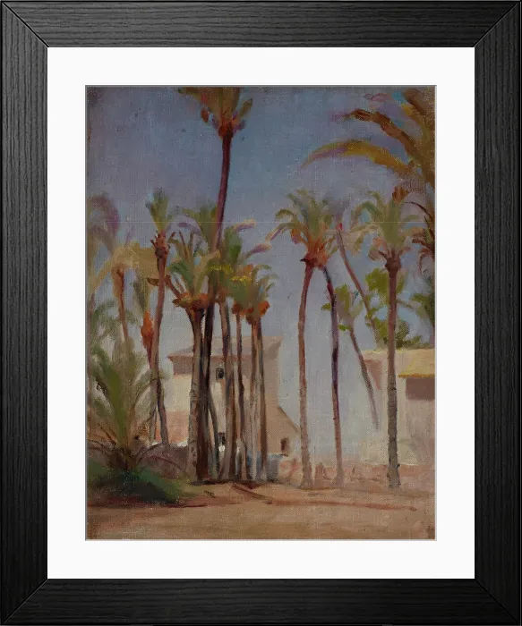 Framed Print : Spain (Elche), 1899. Creator: Jan Ciaglinski Framed Print : Spain (Elche), 1899. Creator: Jan Ciaglinski