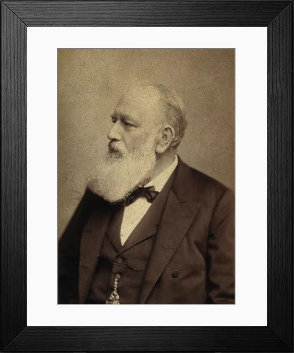 Framed Print : Christian Albert Theodor Billroth. Creator: Josef Lowy Framed Print : Christian Albert Theodor Billroth. Creator: Josef Lowy