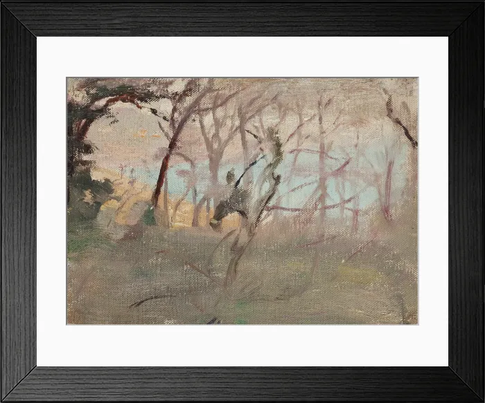 Framed Print : View towards Yalta, 1906. Creator: Jan Ciaglinski Framed Print : View towards Yalta, 1906. Creator: Jan Ciaglinski