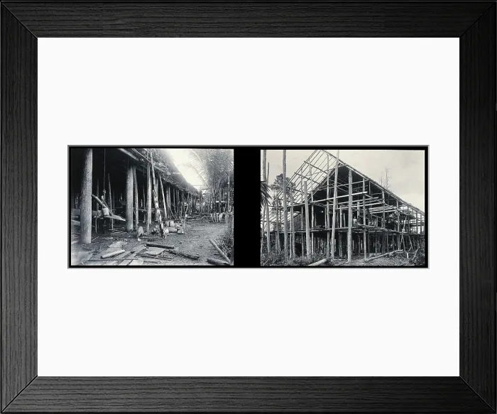 Framed Print : Sarawak: the supporting poles of a Kayan tribal house and a Sea Dayak house under construction. Creator: Unknown Framed Print : Sarawak: the supporting poles of a Kayan tribal house and a Sea Dayak house under construction. Creator: Unknown