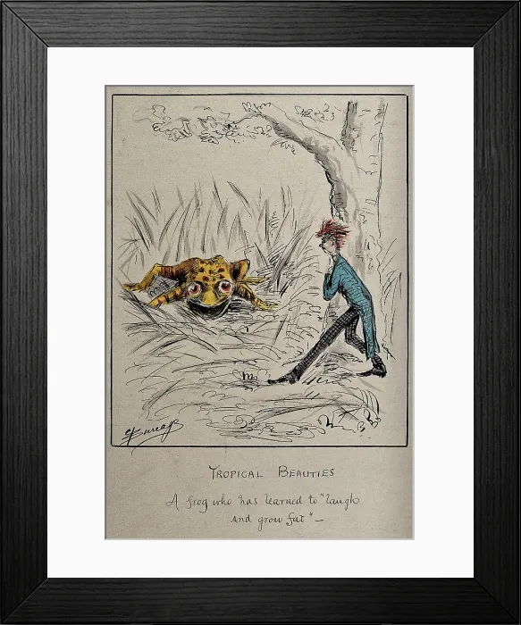 Framed Print : A young man chances on a gigantic yellow frog, c1860s. Creator: Edwin Harcourt Burrage Framed Print : A young man chances on a gigantic yellow frog, c1860s. Creator: Edwin Harcourt Burrage