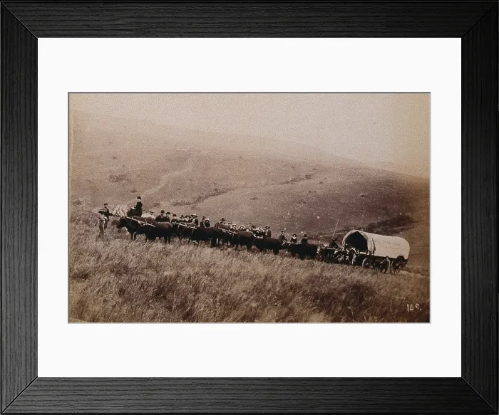 Framed Print : South Africa: landscape with people, a wagon and oxen in the foreground, 1896. Creator: Unknown Framed Print : South Africa: landscape with people, a wagon and oxen in the foreground, 1896. Creator: Unknown