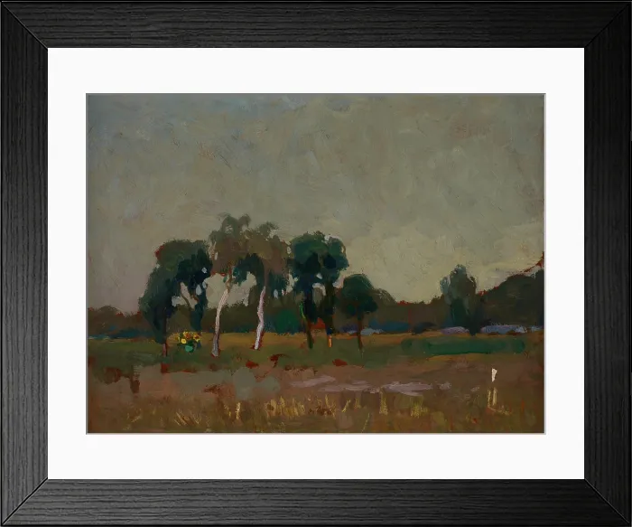 Framed Print : Trees on the Meadow, 1905. Creator: Jan Stanislawski Framed Print : Trees on the Meadow, 1905. Creator: Jan Stanislawski