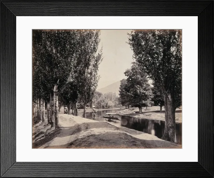 Framed Print : Kashmir: a tree-lined path by a canal, c1870s. Creator: Samuel Bourne Framed Print : Kashmir: a tree-lined path by a canal, c1870s. Creator: Samuel Bourne