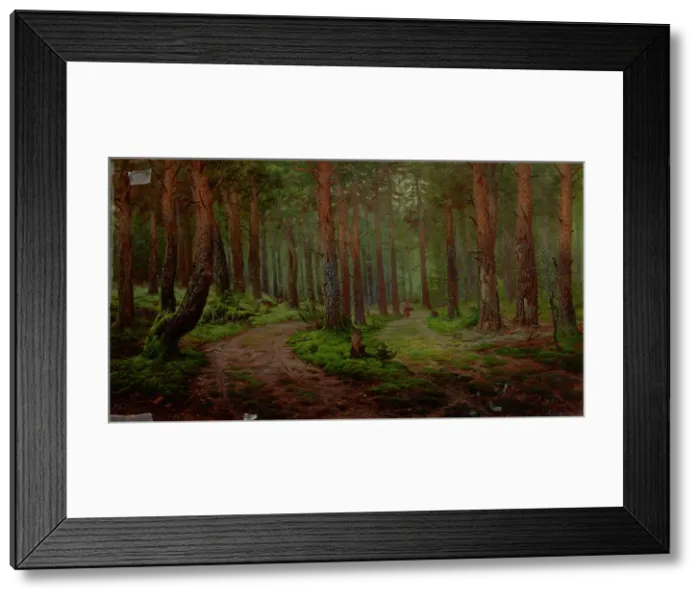 Framed Print : Forest Landscape, 1894. Creator: Karl Klopfer Framed Print : Forest Landscape, 1894. Creator: Karl Klopfer