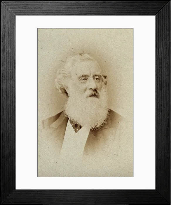 Framed Print : John Frederick Lewis, c1870. Creator: Elliott & Fry Framed Print : John Frederick Lewis, c1870. Creator: Elliott & Fry