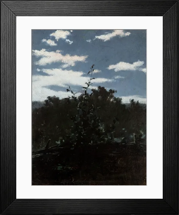 Framed Print : Landscape with a Brushwood Fence, c1880. Creator: Witold Pruszkowski Framed Print : Landscape with a Brushwood Fence, c1880. Creator: Witold Pruszkowski