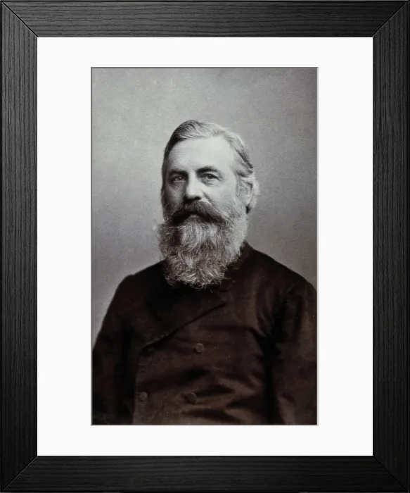 Framed Print : Professor Wiolicendow (?), 1892. Creator: Unknown Framed Print : Professor Wiolicendow (?), 1892. Creator: Unknown