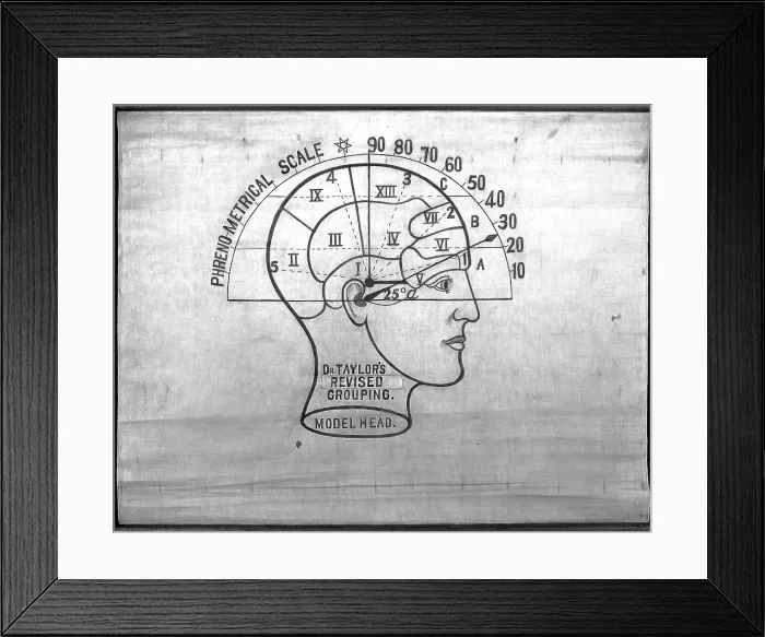Framed Print : Phrenology: the human and animal brain, the location of its functions... c1840s. Creator: Unknown Framed Print : Phrenology: the human and animal brain, the location of its functions... c1840s. Creator: Unknown