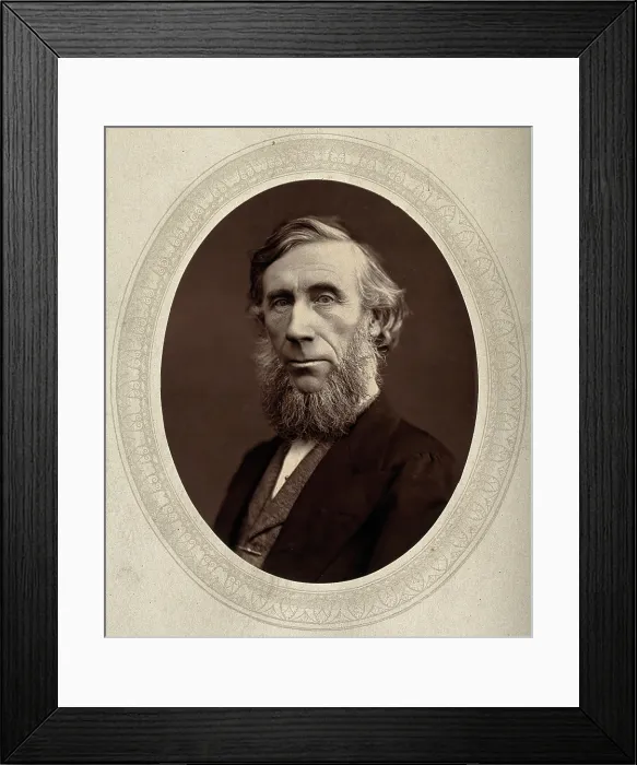 Framed Print : John Tyndall, late 19th century. Creator: Lock & Whitfield Framed Print : John Tyndall, late 19th century. Creator: Lock & Whitfield