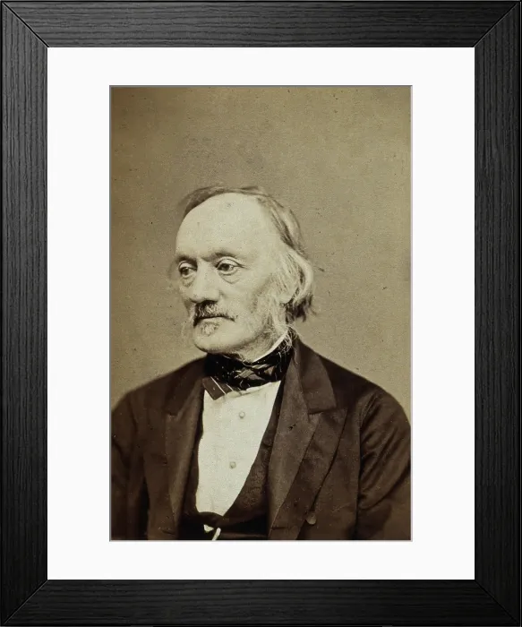 Framed Print : Sir Richard Owen, late 19th century. Creator: London Stereoscopic & Photographic Co Framed Print : Sir Richard Owen, late 19th century. Creator: London Stereoscopic & Photographic Co