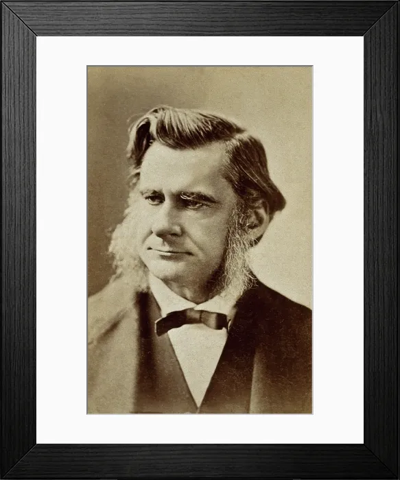 Framed Print : Thomas Henry Huxley, late 19th century. Creator: London Stereoscopic & Photographic Co Framed Print : Thomas Henry Huxley, late 19th century. Creator: London Stereoscopic & Photographic Co