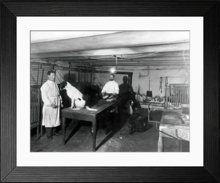 Framed Print : A basement (possibly the pre-operative room in the Physiology Department), Imperial... 1904. Creator: Unknown Framed Print : A basement (possibly the pre-operative room in the Physiology Department), Imperial... 1904. Creator: Unknown