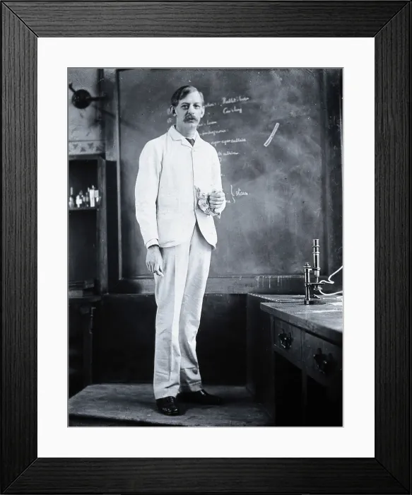 Framed Print : Alfredo Antunes Kanthack, c1898. Creator: Unknown Framed Print : Alfredo Antunes Kanthack, c1898. Creator: Unknown