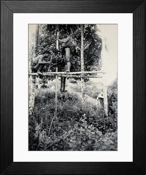 Framed Print : Sarawak: two Kenyah people boring a blowpipe, c1900. Creator: Unknown Framed Print : Sarawak: two Kenyah people boring a blowpipe, c1900. Creator: Unknown