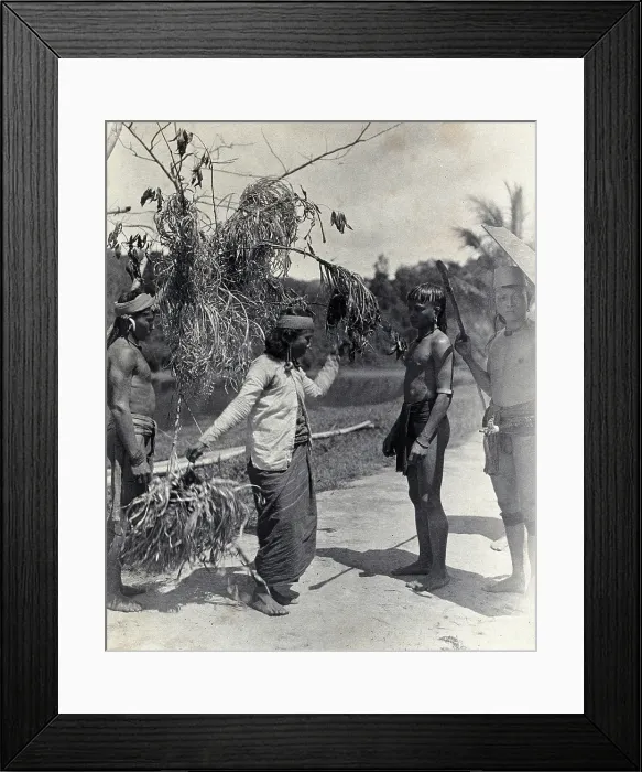 Framed Print : Sarawak: a Kayan woman dancing with the head of an enemy, c1900. Creator: Unknown Framed Print : Sarawak: a Kayan woman dancing with the head of an enemy, c1900. Creator: Unknown