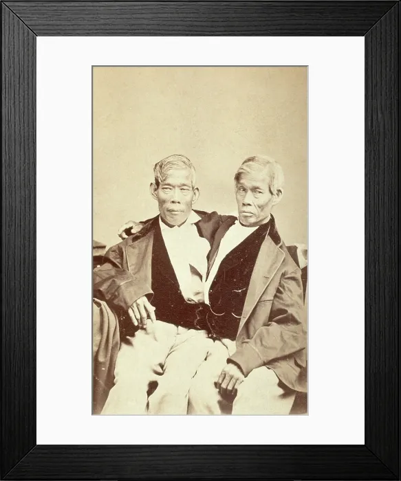 Framed Print : Chang and Eng, conjoined twins, seated, c1860. Creator: Unknown