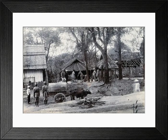 Framed Print : A house being disinfected, during a plague epidemic in Mandalay, 1906. Creator: Unknown Framed Print : A house being disinfected, during a plague epidemic in Mandalay, 1906. Creator: Unknown