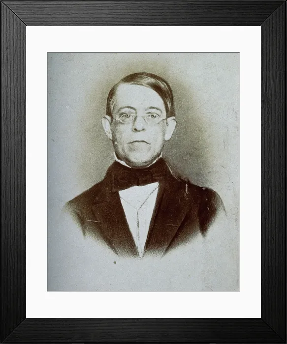 Framed Print : Fernando Guerrero, c1870s. Creator: Unknown Framed Print : Fernando Guerrero, c1870s. Creator: Unknown