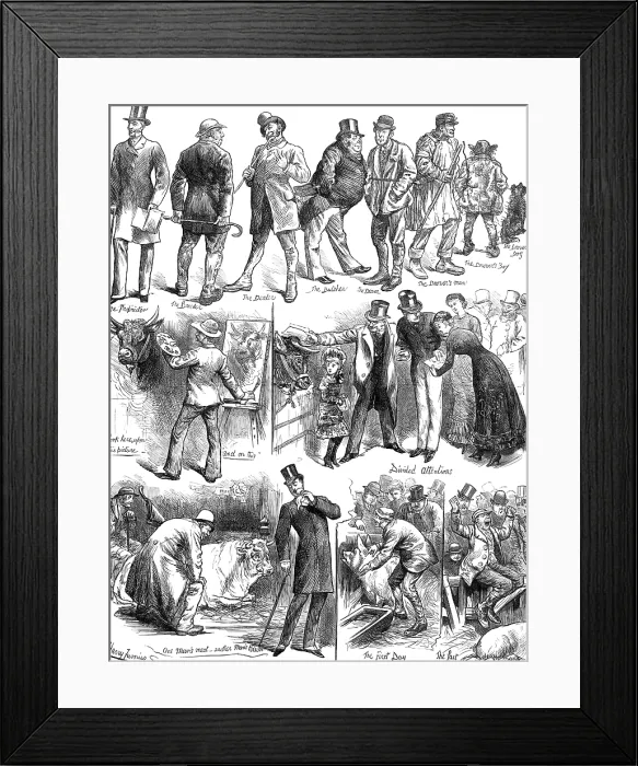 Framed Print : Sketches at the Smithfield Club Cattle Show, 1881. Creator: Unknown Framed Print : Sketches at the Smithfield Club Cattle Show, 1881. Creator: Unknown