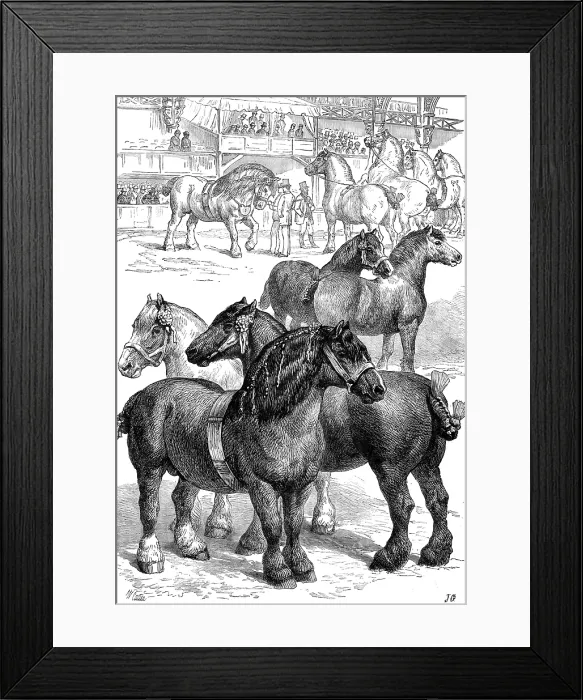 Framed Print : The Cart-Horse Show at the Agricultural Hall, 1881. Creator: J. G Framed Print : The Cart-Horse Show at the Agricultural Hall, 1881. Creator: J. G