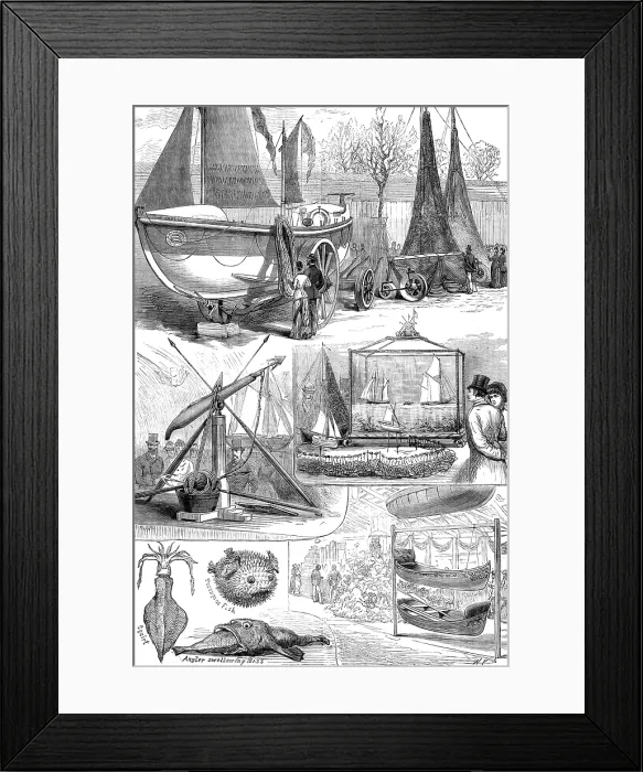 Framed Print : The National Fisheries Exhibition at Norwich: models of lifeboat, fishing apparatus, etc, 1881. Creator: W. P Framed Print : The National Fisheries Exhibition at Norwich: models of lifeboat, fishing apparatus, etc, 1881. Creator: W. P