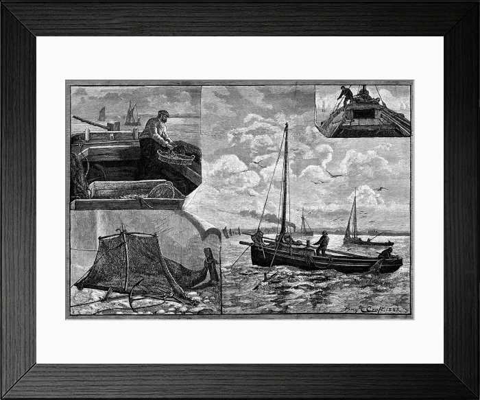 Framed Print : Our Fishing Industries: Whitebait Fishing, 1883. Creator: Unknown Framed Print : Our Fishing Industries: Whitebait Fishing, 1883. Creator: Unknown