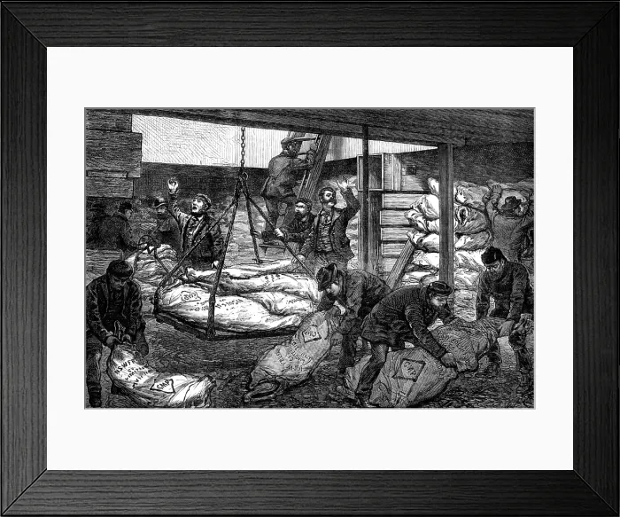 Framed Print : Landing Australian frozen meat from Sydney in the South West India Dock, Millwall, 1881. Creator: Unknown Framed Print : Landing Australian frozen meat from Sydney in the South West India Dock, Millwall, 1881. Creator: Unknown