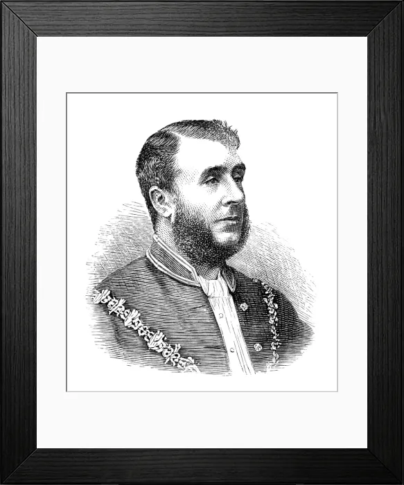 Framed Print : The Royal Visit to Swansea: the Mayor of Swansea, 1881. Creator: Unknown Framed Print : The Royal Visit to Swansea: the Mayor of Swansea, 1881. Creator: Unknown