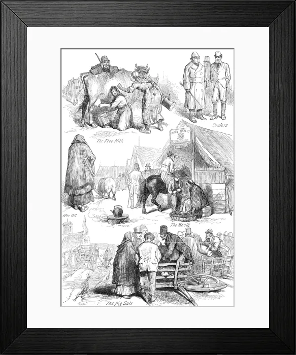 Framed Print : Sketches at an Irish cattle fair, 1881. Creator: Unknown Framed Print : Sketches at an Irish cattle fair, 1881. Creator: Unknown