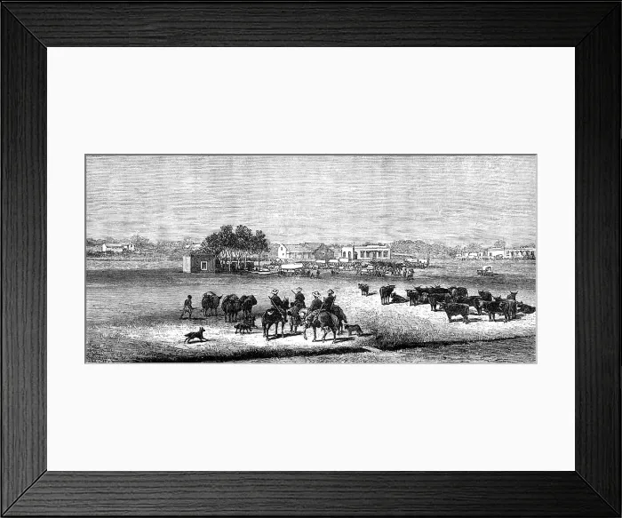 Framed Print : The Revolt in the Transvaal: the Market-Square, Potchefstroom, 1881. Creator: Unknown Framed Print : The Revolt in the Transvaal: the Market-Square, Potchefstroom, 1881. Creator: Unknown