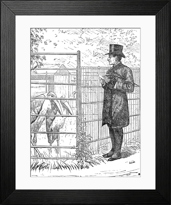 Framed Print : Sketch of a picture in the Royal Academy Exhibition: An Episcopal Visitation, H. S. Marks R.A. 1881 Creator: Unknown Framed Print : Sketch of a picture in the Royal Academy Exhibition: An Episcopal Visitation, H. S. Marks R.A. 1881 Creator: Unknown