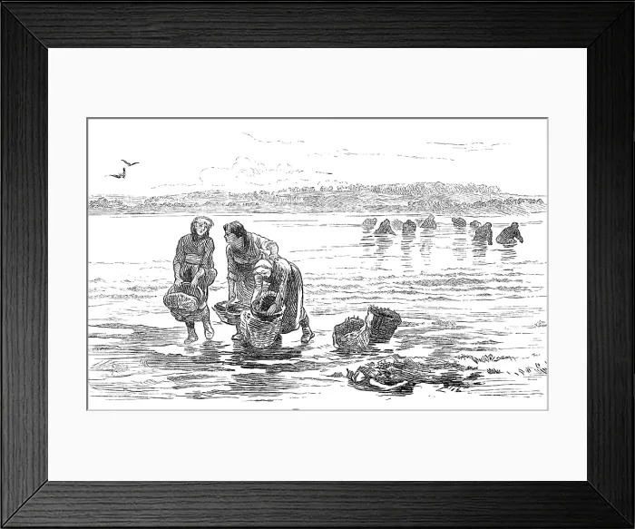 Framed Print : Sketch of a picture in the Royal Academy Exhibition: Mussel Gatherers, Colin Hunter, 1881. Creator: Unknown Framed Print : Sketch of a picture in the Royal Academy Exhibition: Mussel Gatherers, Colin Hunter, 1881. Creator: Unknown