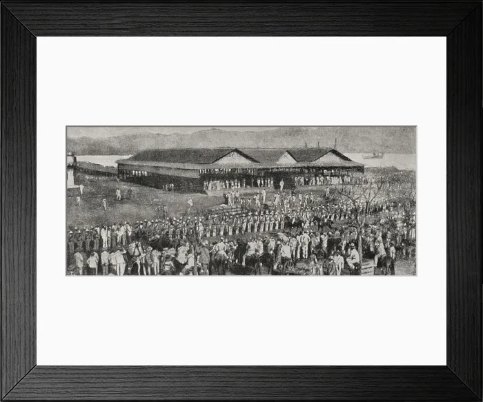 Framed Print : Cuban war of Independence: review of troops coming from the interior of the island, Cuba, 1898. Creator: Unknown Framed Print : Cuban war of Independence: review of troops coming from the interior of the island, Cuba, 1898. Creator: Unknown