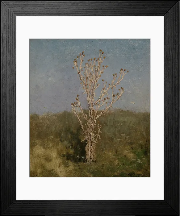 Framed Print : Carduus (plumeless thistles), 1885. Creator: Jan Stanislawski Framed Print : Carduus (plumeless thistles), 1885. Creator: Jan Stanislawski