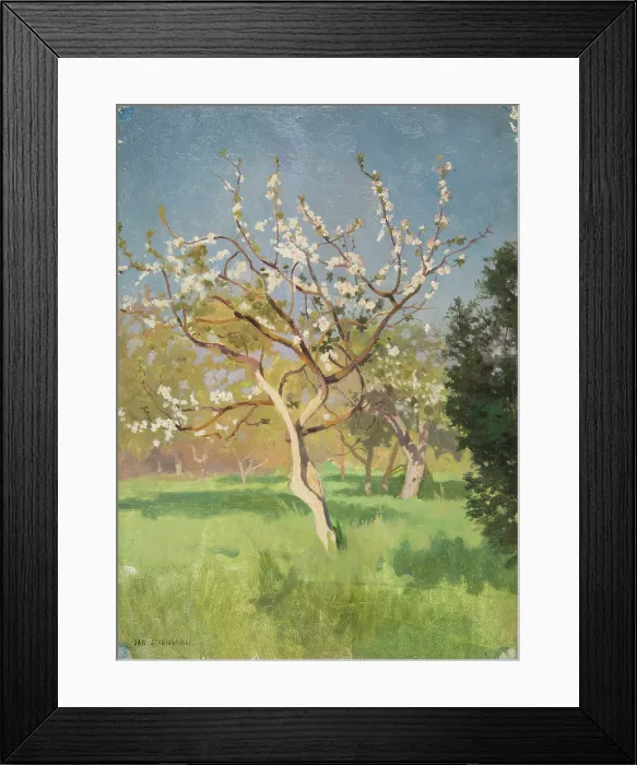 Framed Print : Apple-Tree in Blossom, 1897. Creator: Jan Stanislawski Framed Print : Apple-Tree in Blossom, 1897. Creator: Jan Stanislawski
