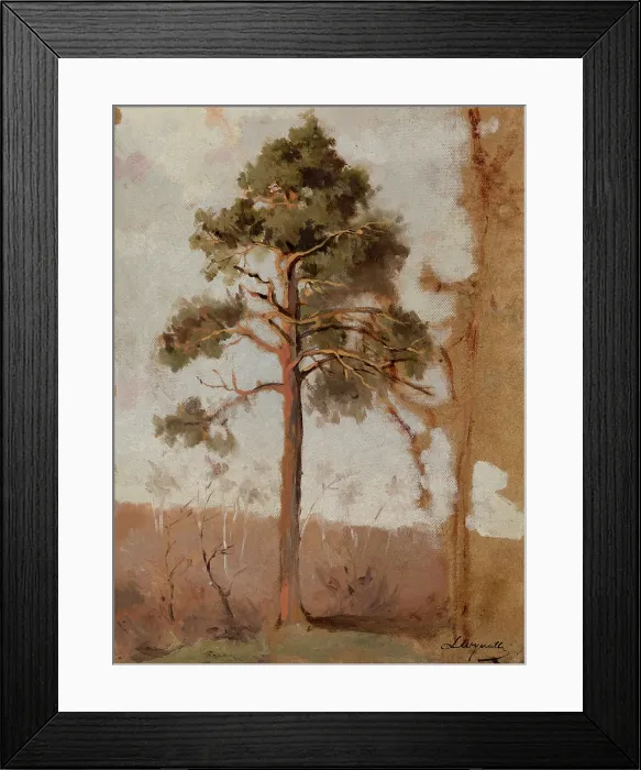 Framed Print : Pines at Polaga, between 1906-1910. Creator: Leon Wyczolkowski Framed Print : Pines at Polaga, between 1906-1910. Creator: Leon Wyczolkowski