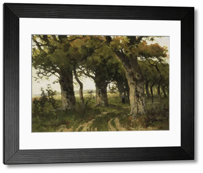 Framed Print : Avenue of Oaks in Late Summer, Between 1880 and 1900. Creator: Bilders-van Bosse, Maria (1837-1900) Framed Print : Avenue of Oaks in Late Summer, Between 1880 and 1900. Creator: Bilders-van Bosse, Maria (1837-1900)