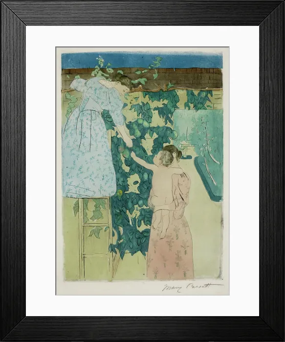 Framed Print : Gathering Fruit, c1893. Creator: Cassatt, Mary (1845-1926) Framed Print : Gathering Fruit, c1893. Creator: Cassatt, Mary (1845-1926)