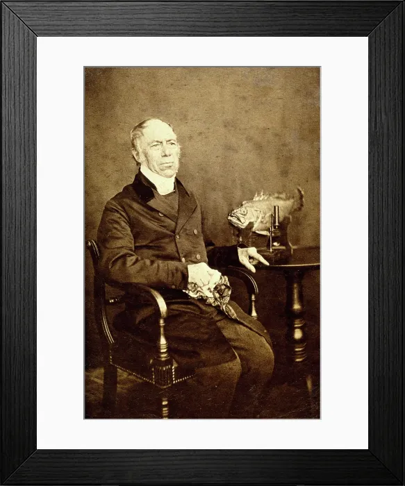 Framed Print : Jonathan Couch Creator: Unknown Framed Print : Jonathan Couch Creator: Unknown
