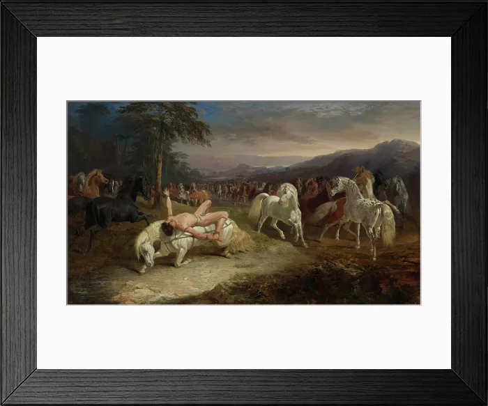 Framed Print : Mazeppa, 1842. Creator: Herring, John Frederick, Sr. (1795-1865) Framed Print : Mazeppa, 1842. Creator: Herring, John Frederick, Sr. (1795-1865)