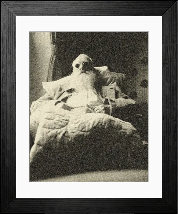 Framed Print : Claude Monet during his Cataract Operation at the Neuilly Clinic, 1923. Creator: Anonymous Framed Print : Claude Monet during his Cataract Operation at the Neuilly Clinic, 1923. Creator: Anonymous