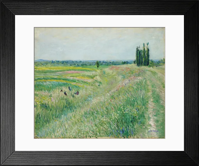 Framed Print : La Plaine de Gennevilliers, groupe de peupliers, ca. 1883. Creator: Caillebotte, Gustave (1848-1894) Framed Print : La Plaine de Gennevilliers, groupe de peupliers, ca. 1883. Creator: Caillebotte, Gustave (1848-1894)