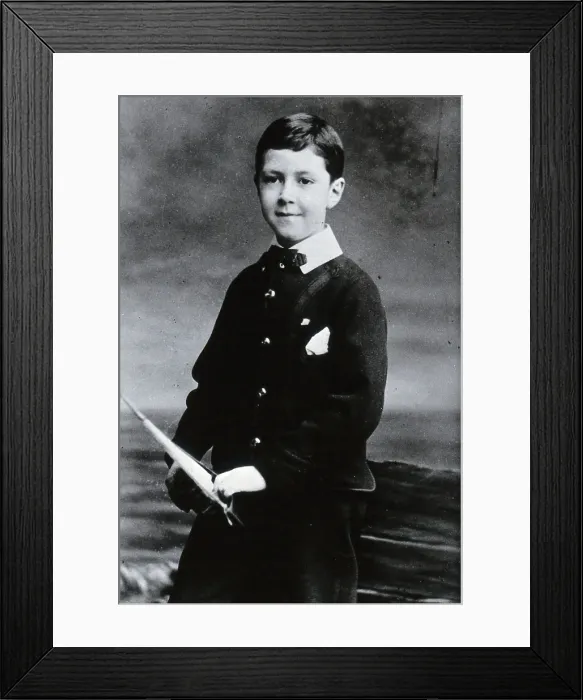 Framed Print : Sir Henry Hallett Dale. Creator: TC Turner & Company Framed Print : Sir Henry Hallett Dale. Creator: TC Turner & Company