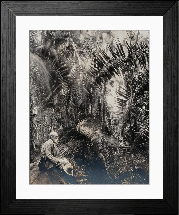 Framed Print : Zimbabwe: a member of the British Association sitting in a palm ravine, 1905. Creator: Geoffrey L Parsons Framed Print : Zimbabwe: a member of the British Association sitting in a palm ravine, 1905. Creator: Geoffrey L Parsons